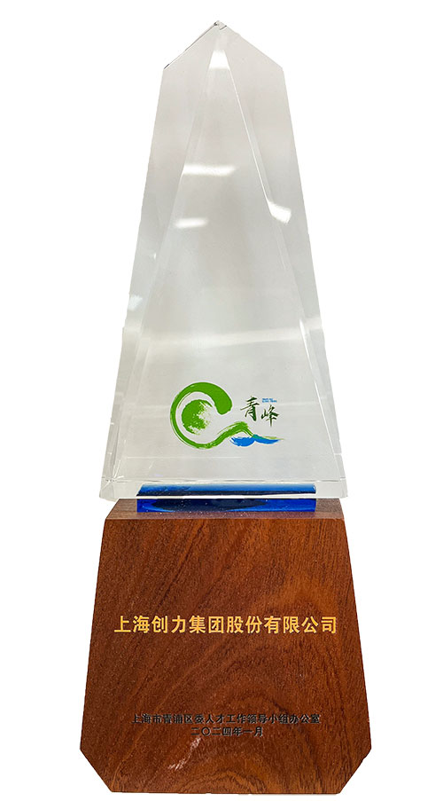 喜报！上海尊龙凯时-人生就是搏集团荣获2023年度青浦区百强优秀企业等三项大奖(图3)